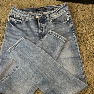 Judy Blue Women's Blue Skinny Jeans